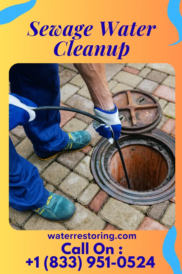Sewage Water Cleanup in Courtenay, ND
